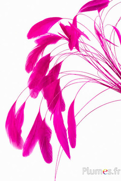 Coquetips - 13-18 cm - fuchsia